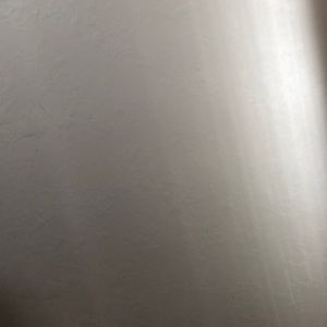 Meet your Posher, Tyana